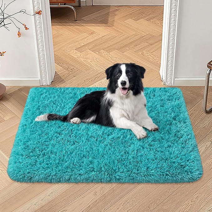 Small Fluffy Rugs for Bedroom 2x3 Teal Blue Shaggy Area Rug Soft Plush Fuzzy Fur Throw Rug for Living Room Dorm Kids Nursery Home Decor Aesthetic Carpets