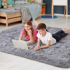 Noahas 6x9 Fluffy Grey Area Rugs for Living Room,Shaggy Rugs for Bedroom,Big Fuzzy Bedroom Carpet,Soft Large Living Room Rugs,Thick Plush Shag Rug,Comfy Nursery Kids Rug Room Decor