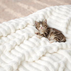 Bedsure GentleSoft Full Size Blanket for Bed - Cozy Soft Blankets for Women, Cute Large Fleece Throws for Girls, Off White, 84x90 Inches