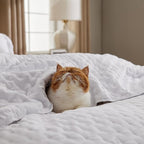 Bedsure King Quilt - Bright White Bedspread King Size & Lightweight Comforter, Modern Coverlet with Clover Pattern, Ultra Soft All-Season Bedding, 106 x 96 Inches | Stitch-Free Quilting, Ultra Soft, Lightweight, Machine Washable, Pet-Friendly