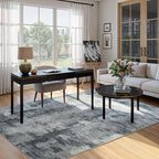 CRYPTOLITE Abstract Area Rug Washable Rug with Non-Slip Backing Low Pile Area Rugs for Living Room, Bedroom, Dining Room,4x6, Grey