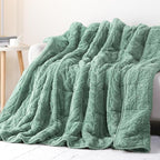 Cottonblue Jacquard Weighted Blanket 20 lbs for Adults Queen Size, Ultra Soft Sherpa Fleece Blanket for Relax and Sleep, Cozy Comfort Heavy Bed Blankets with Glass Beads, 60x80 Inches, Sage Green
