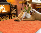 Softlife Orange Area Rug for Bedroom, Fluffy Shag Plush 4x6 Rugs for Living Room Girls, Shaggy Throw Soft Fuzzy Small Kids Carpet for Dorm Bedside Ultra Cozy Non-Slip Indoor Decor
