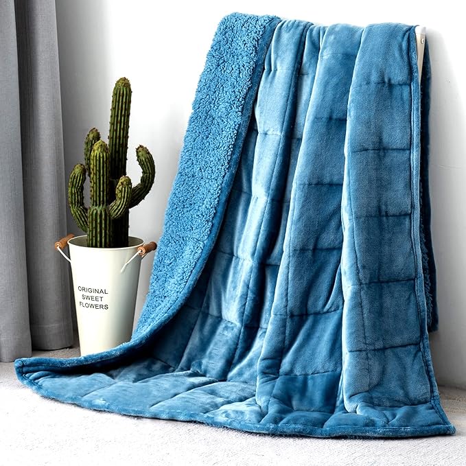 Topblan Sherpa Fleece Weighted Blanket for Adult, 15 lbs Dual Sided Cozy Fluffy Heavy Blanket, Ultra Fuzzy Throw Blanket with Soft Plush Flannel Top, 60 x 80 inches