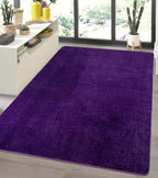 Andecor Purple Living Room Area Rug, 6x9 Ft Shag Washable Fuzzy Bedroom Rugs, Soft Fluffy Indoor Carpets for Dorm Boys Girls Kids Room Nursery Home Decor
