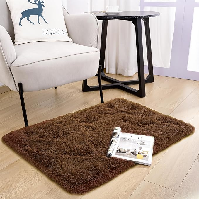 Noahas Door Mat Indoor Entrance,2x3 Shaggy Small Brown Area Rugs for Entryway,Non-Slip Fluffy Entry Bedroom Rug,Soft Plush Bedside Throw Kids Carpet