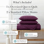 Southshore Fine Living, Inc. Oversized Quilt Bedding Set Queen, Soft Coverlet Full Size, Lightweight Bedspread 3-Piece with Two Matching Quilted Pillow Shams, All Season Full/Queen Quilts, Purple