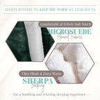 Elegant Comfort Throw Blanket, Reversible Sherpa Flannel, Ultra-Soft, Fuzzy, Cozy and Plush- All Season Lightweight Decorative Throw, 50 x 60 inches, Solid Sherpa Throw, Hunter Green