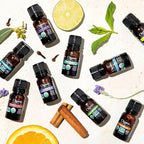 Cliganic Organic Citronella Essential Oil - 100% Pure Natural for Aromatherapy Diffuser | Non-GMO Verified