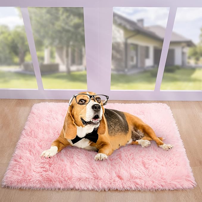 Noahas Fluffy Pink Rugs for Bedroom Girls,Door Mat Indoor Entrance,2x3 Shaggy Small Non-Slip Entryway Entry Area Rugs,Soft Plush Bedside Throw Kids Carpet Home Decor
