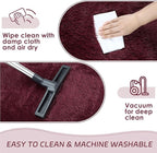 duduta Burgundy Plush Area Rugs for Bedroom 5x8 ft, Fluffy Carpet for Living Room Kids Room, Large Shag Dorm Rug, Washable Non Slip
