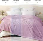 Exclusivo Mezcla Fleece Bed Blankets Queen Size, Ultra Soft, Lightweight and Fuzzy Light Purple Blanket for Women, Home Decor, 90x90 Inches