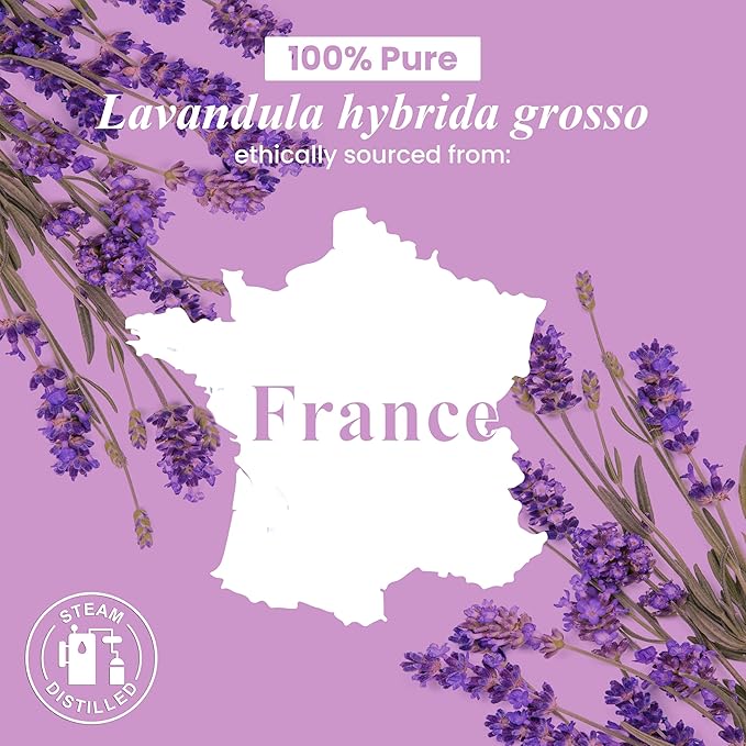 Handcraft Blends Lavender Essential Oil – Huge 4 Fl Oz – 100% Pure and Natural – Premium Grade Essential Oil for Diffuser and Aromatherapy, Skin, Massage, Candle and Soap Making Fragrance