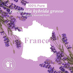 Handcraft Blends Lavender Essential Oil – Huge 4 Fl Oz – 100% Pure and Natural – Premium Grade Essential Oil for Diffuser and Aromatherapy, Skin, Massage, Candle and Soap Making Fragrance