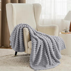 Bedsure GentleSoft Twin XL Blanket for Bed - Cozy Soft Blankets for Women, Cute Large Throws for Girls, Light Grey, 66x90 Inche