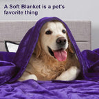 DREAMNINE Pack of 21 Fuzzy Soft Fleece Throw Blanket for Couch Sofa 50" x 60", Decorative Solid Lightweight Velvet Blankets for Chair, Cozy Accent Shaggy Plush Flannel Blanket for Bedroom, Purple