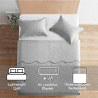 IR Imperial Rooms 10 Pack Queen Quilt Bedding Set (90" x 96") - Bulk Wholesale for Hotels, Guest Bedroom & Airbnbs - Lightweight Microfiber Reversible Floral Embossed Quilts Bedspreads (Silver)