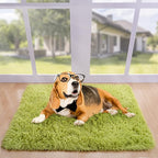 Noahas Door Mat Indoor Entrance,2x3 Shaggy Small Green Area Rugs for Entryway,Non-Slip Fluffy Entry Bedroom Rug,Soft Plush Bedside Throw Kids Carpet