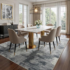 CRYPTOLITE Abstract Area Rug 5x7 Washable Rug with Non-Slip Backing Low Pile Area Rug Area Rugs for Living Room, Bedroom, Dining Room, Grey