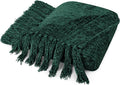 PAVILIA Emerald Green Throw Blanket for Couch, Twin Size Bed, Chenille Soft Knit Woven With Tassel, Decorative Textured for Sofa, Living Room 60x80
