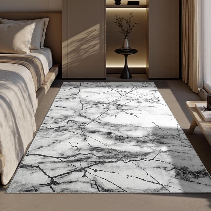 CRYPTOLITE Abstract Area Rug Washable Rug with Non-Slip Backing Low Pile Area Rugs for Living Room, Bedroom, Dining Room,4x6, Silver&Grey