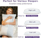Premium Adjustable Shredded Memory Foam Pillow - Suitable for Side, Back, and Stomach Sleepers, with Cooling Fiber Machine Washable Cover (Standard-2PCS-Lavender)