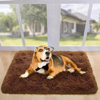 Noahas Door Mat Indoor Entrance,2x3 Shaggy Small Brown Area Rugs for Entryway,Non-Slip Fluffy Entry Bedroom Rug,Soft Plush Bedside Throw Kids Carpet