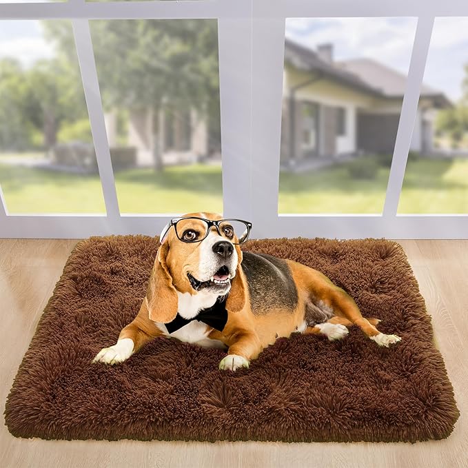 Noahas Door Mat Indoor Entrance,2x3 Shaggy Small Brown Area Rugs for Entryway,Non-Slip Fluffy Entry Bedroom Rug,Soft Plush Bedside Throw Kids Carpet