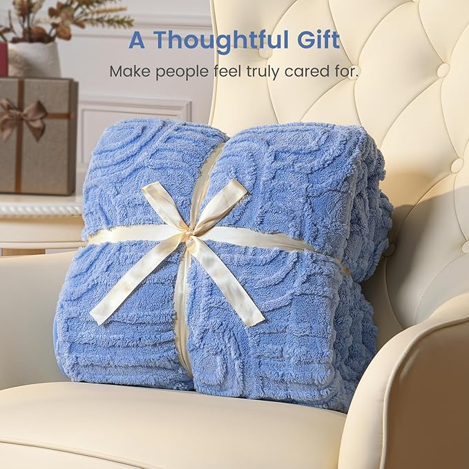 Sherpa Fleece Adult Weighted Blanket Great for Sleep, 15 lbs Dual Sided Soft Fuzzy Heavy Blankets for Couch Bed Sofa, Cozy Warm Fluffy Arched Jacquard Throw for Winter (Blue, 48" x 72", 15 Pounds)