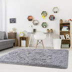 Noahas Large Fluffy Grey 5x8 Area Rugs for Living Room Bedroom,Thick Shag Throw Rug,Big Soft Shaggy Bedside Non-Slip Plush Dorm Nursery Kids Carpet