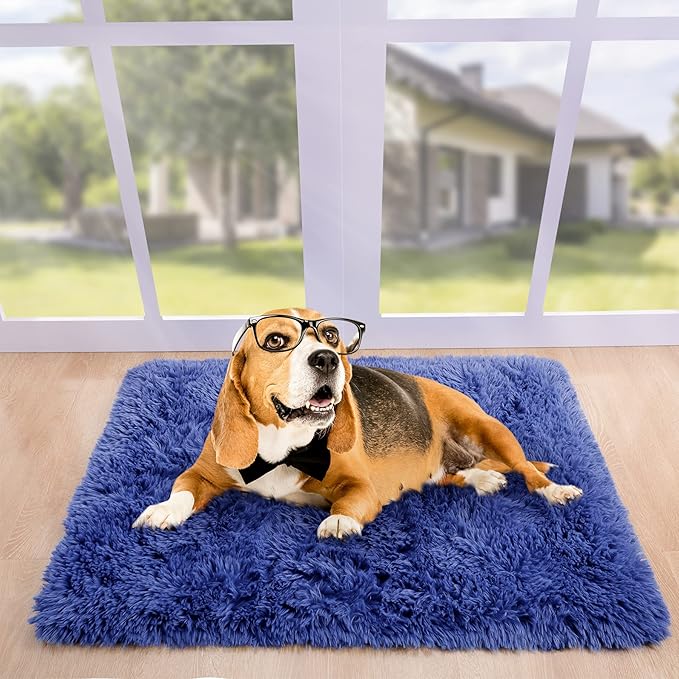 Noahas Door Mat Indoor Entrance,2x3 Shaggy Navy Blue Black Area Rugs for Entryway,Non-Slip Fluffy Entry Bedroom Rug,Soft Plush Bedside Throw Kids Carpet