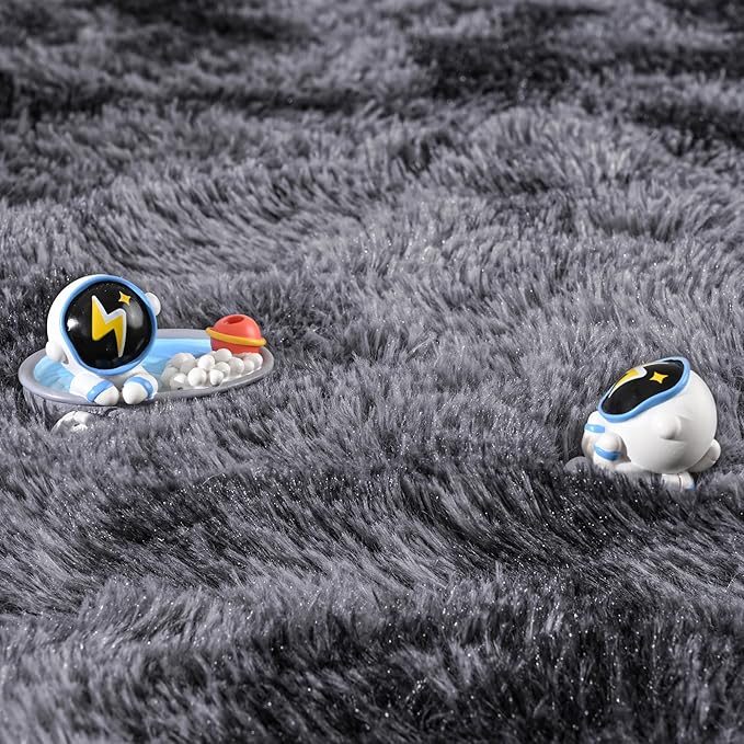 ISEAU 4x6 Area Rug for Living Room, Dark Grey Rugs for Bedroom, Dorm, College, Apartment, Soft Shaggy Carpets, Machine Washable Mats, Under Bed, On Nursery Floors Mat, Boys, Girls Room Carpet Decor