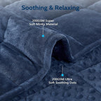 L'AGRATY Weighted Blanket for Adult - 80"x87" 20lbs Minky Dots Heavy Blanket with Glass Beads Soft Breathable for All-Season Summer Fall Winter Thick Comfort for Sleeping