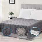 L'AGRATY Weighted Blanket for Adult - 60"x80" 20lbs Minky Dots Heavy Blanket with Glass Beads Soft Breathable for All-Season Summer Fall Winter Thick Comfort for Sleeping