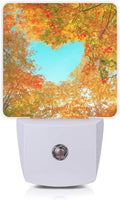 Blue Heart Sky Night Light,Autumn Red Maple Leaves Forest Trees Plug-in Night Lights with Dusk-to-Dawn Sensor for Stairway/Hallway/Bedroom Sleep Friendly Ideal for Women/Girls/Boys Gift,0.5W