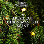 Urban Naturals Pine Forest Reed Diffuser Set - White Pine Needles, Eucalyptus and Sandalwood - Christmas Tree Scent - Holiday Decor with Real Pine Branches