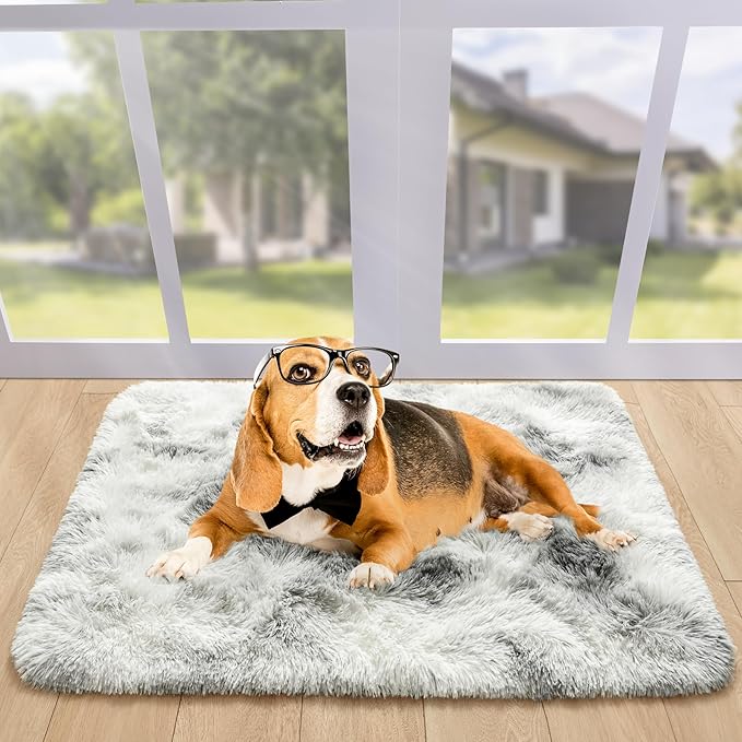 Noahas Door Mat Indoor Entrance,2x3 Shaggy Small Tie-Dyed Grey and White Area Rugs for Entryway,Non-Slip Fluffy Entry Bedroom Rug,Soft Plush Bedside Throw Kids Carpet