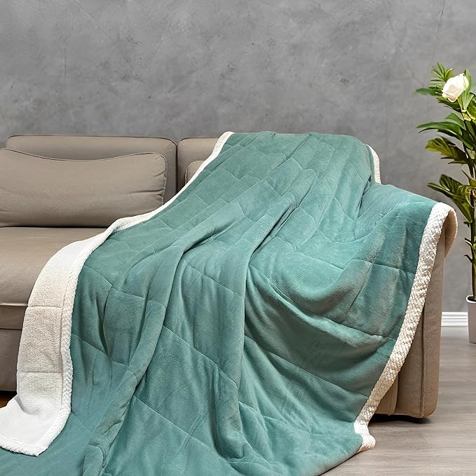 Sherpa Double-Sided Blankets, Plush & Cuddly Throw, Extra-Plush Thermal Fleece Blanket for Sofa/Couch/Bedding, Super Soft Living Room Blanket with Anti-Pilling (Green, 60×80)