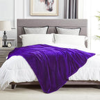 DREAMNINE Super Soft Fuzzy Fleece Throw Blanket for Couch Sofa 50" x 60",Decorative Solid Lightweight Velvet Blanket for Chair, Cozy Accent Shaggy Micro Plush Flannel Blankets for Bedroom Dorm, Purple