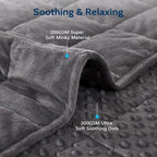 L'AGRATY Weighted Blanket for Adult - 60"x80" 17lbs Minky Dots Heavy Blanket with Glass Beads Soft Breathable for All-Season Summer Fall Winter Thick Comfort for Sleeping