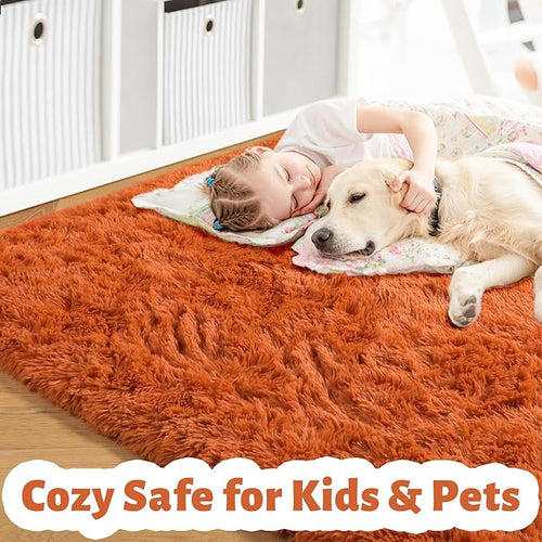 Amdrebio Burnt Orange Area Rugs for Living Room Bedroom, Fluffy Shaggy Fuzzy Thick Shag Rug 5x7 for Kids Room Decor, Modern Cute Plush Furry Dark Orange Carpet for Nursery Dorm Classroom Playroom