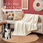 Ailemei Direct Knit Throw Blanket for Bed, Soft Thin Blankets for Sofa, Couch, Camping, Office Chair, Cozy Touch Lightweight Breathable Blanket All Season Use, Cream 50"x70"