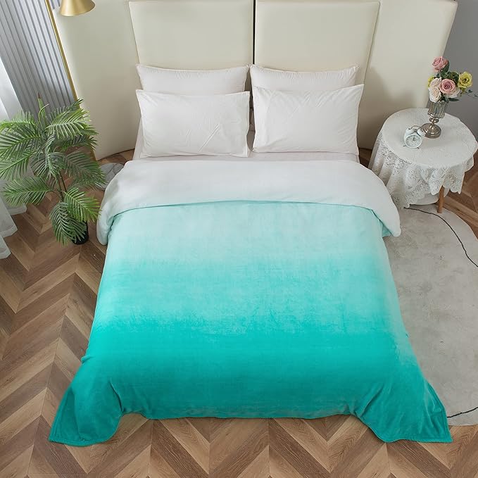 Elegant Comfort Luxury Velvety Feel Blanket, All-Season Lightweight Blanket, Ultra Plush, Soft, Cozy-Fuzzy Flannel Fleece for Couch, Sofa, Bed, Travel, Ombre Design, Full/Queen, Tiffany