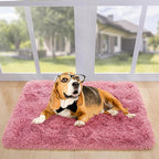 Noahas Fluffy Blush Rugs for Bedroom Girls,Door Mat Indoor Entrance,2x3 Shaggy Small Non-Slip Entryway Entry Area Rugs,Soft Plush Bedside Throw Kids Carpet Home Decor