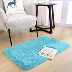 Noahas Door Mat Indoor Entrance,2x3 Shaggy Small Teal Blue Area Rugs for Entryway,Non-Slip Fluffy Entry Bedroom Rug,Soft Plush Bedside Throw Kids Carpet