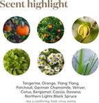 Peace & Calming II 5 ml Essential Oil by Young Living Essential Oils