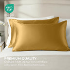 Satin Pillowcase 2 Pack - Queen Size (20"x30", Gold) - Silky Pillow Cases for Hair and Skin - Satin Pillow Covers with Envelope Closure - Extra Soft Premium Microfiber
