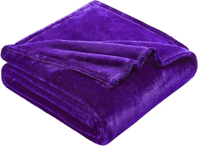 DREAMNINE Super Soft Fuzzy Fleece Throw Blanket for Couch Sofa 50" x 60",Decorative Solid Lightweight Velvet Blanket for Chair, Cozy Accent Shaggy Micro Plush Flannel Blankets for Bedroom Dorm, Purple