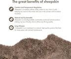 Nordic Sheep Real Sheepskin Rug 2x6 ft | Sheepskin Rugs for Living Room and Sofa | Large Bedside Rugs for Bedrooms is Breathable & Heat-regulating | Fluffy Rug in Color Light Brown