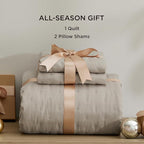 Bedsure Quilts Queen Size - Taupe Bedspread Queen Size & Lightweight Comforter, Modern Farmhouse Coverlet with Clover Pattern, Ultra Soft All-Season Bedding, 90 x 96 Inches | Stitch-Free Quilting, Ultra Soft, Lightweight, Machine Washable, Pet-Friendly